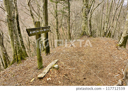 丹澤的高總國境山脊、文澤之頭山頂 117712539