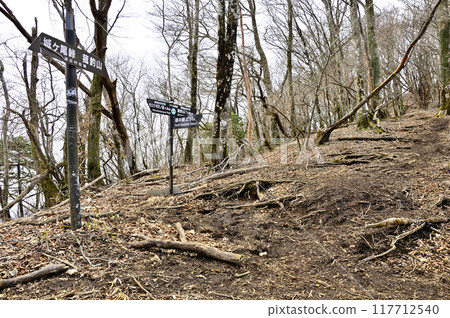 丹澤的Kosou邊界山脊，小水山的文澤Norikoshi山口 117712540