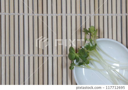 Radish sprouts on a tray 117712695