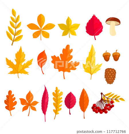 Set of illustrations of autumn leaves in cartoon style. Design element for poster, card, banner. Vector illustration 117712766