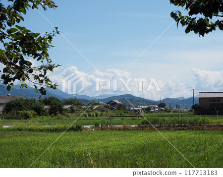 夏末的田園風光（從稻田神社看到的小長平原） 117713183