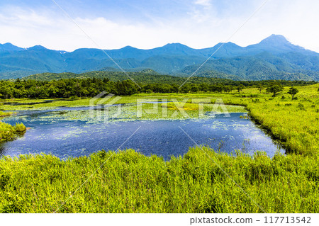 [北海道_知床五湖] 從高架木棧道眺望的景色 7月 117713542