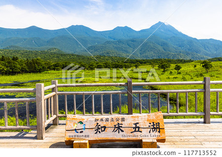 [Hokkaido_Shiretoko Five Lakes] View from the elevated boardwalk July 117713552