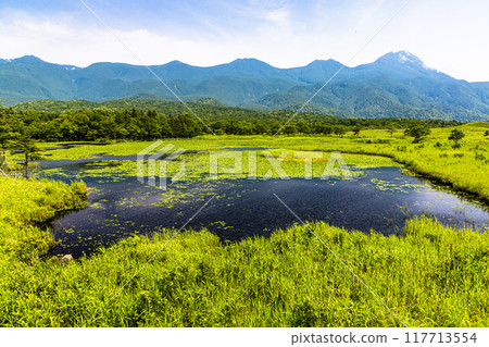 [Hokkaido_Shiretoko Five Lakes] View from the elevated boardwalk July 117713554