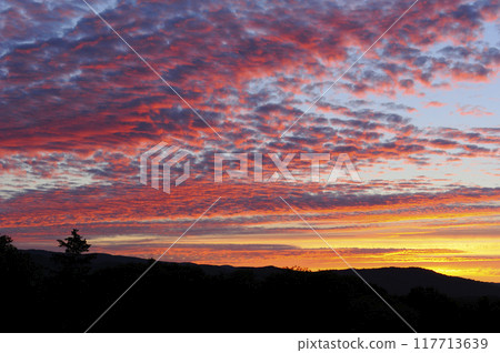 Evening clouds 117713639