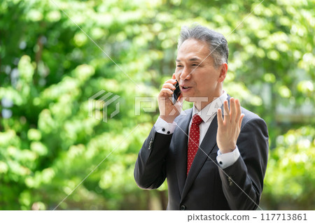 Businessman making a phone call outdoors, fresh greenery 117713861