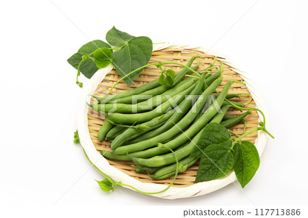 托盤上的藤蔓豆 托盤上的藤蔓豆 117713886
