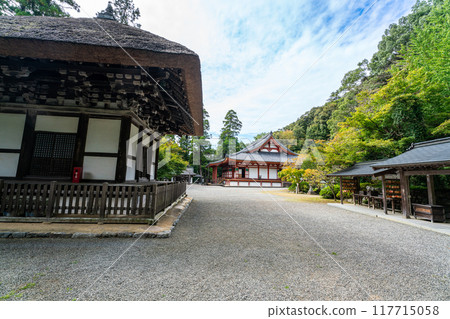 Kanshinji Temple: Pagoda and main hall 3, Kawachinagano City, Osaka Prefecture 117715058
