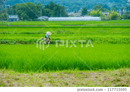 [Summer] Mowing the banks [Azumino City] 117715095