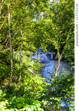 [北海道_知床半島] 未開發地區 Kamuiwakka 熱瀑布 117715116