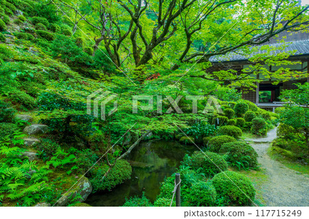 Shiga Prefecture Geikorinji Temple 117715249