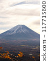  富士山和富士山 117715600