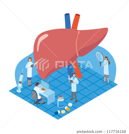 Liver examination and medical worker image illustration Liver examination and medical worker image illustration 117716188