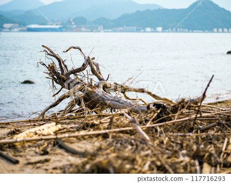 Coastal drift Coastal drift 117716293