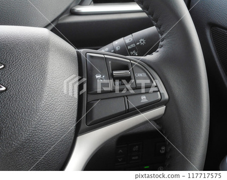 方向盤上的自適應巡航控制開關 117717575
