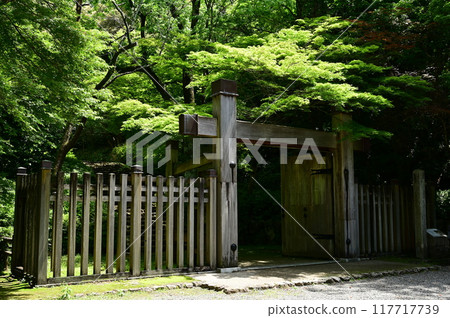 金華山、岐阜城的鐐木門，被新綠染紅 117717739