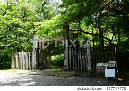 Gifu Castle's Kaburakimon Gate on Mount Kinka is bathed in fresh greenery Gifu Castle's Kaburakimon Gate on Mount Kinka is bathed in fresh greenery 117717778
