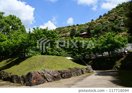 山腳下的城堡遺址和索道(岐阜城金華山) 山腳下的城堡遺址和索道(岐阜城金華山) 117718094