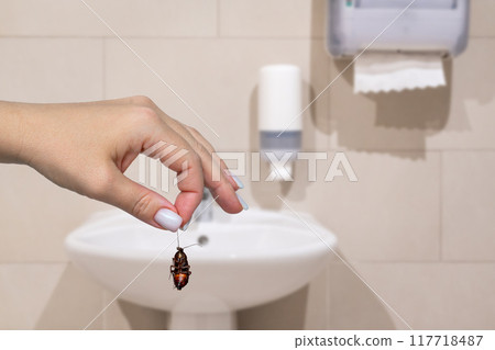 Female hand holding big dead cockroach over blurred background of bathroom. Concept of pest control 117718487