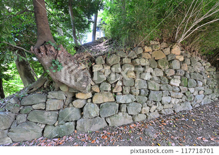 愛知縣西尾市三河國西尾城的牛虎角樓和kuruwa 117718701