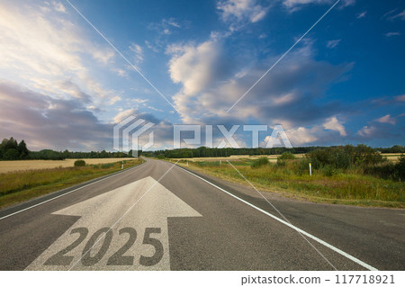 New Year 2025, future, strategy and success concept. Road with arrow in country side.  117718921