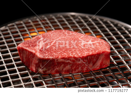 Grilled meat, grilled fillet Grilled meat, grilled fillet 117719277
