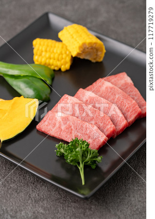 什錦牛肉和蔬菜 117719279