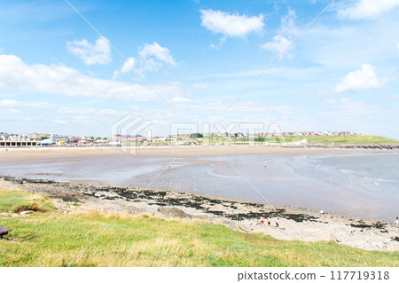 People relaxing on a shallow sandy beach and a row of red brick houses standing on a hill in the distance, in the suburbs of South Wales 117719318