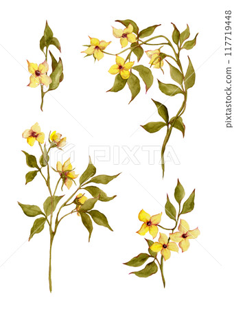 Spring flowers. Yellow buttercups. Watercolor wild flowers set. Floral isolated green twig for your design Spring flowers. Yellow buttercups. Watercolor wild flowers set. Floral isolated green twig for your design 117719448