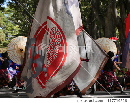 陸奧夜來祭(宮城縣仙台市) 陸奧夜來祭(宮城縣仙台市) 117719828