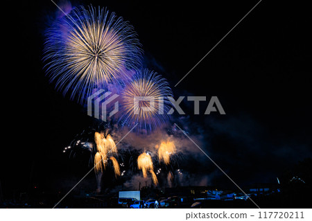 Fireworks Fireworks 117720211