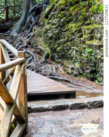 wooden bridge in mountain forest in Altindere Park wooden bridge in mountain forest in Altindere Park 117720631