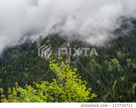 sunlit green foliage and gray cloud on mountain 117720721