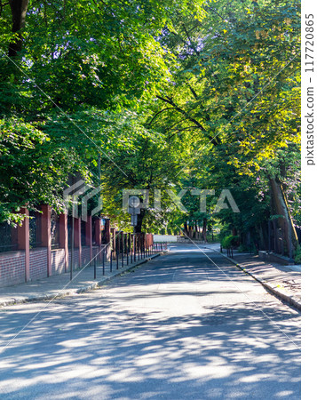 road along urban garden in Kaliningrad city road along urban garden in Kaliningrad city 117720865