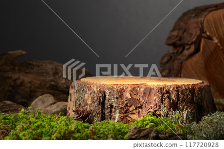 Composition with natural wood, moss and lichen for advertising eco products. Composition with natural wood, moss and lichen for advertising eco products. 117720928