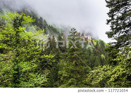 gray clouds and green mountains in Altindere Park 117721054