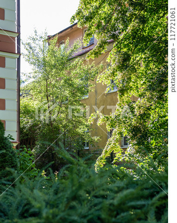 green tree and apartment house in Kaliningrad city green tree and apartment house in Kaliningrad city 117721061