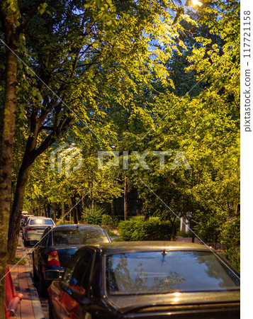street under trees illuminated by electric light 117721158