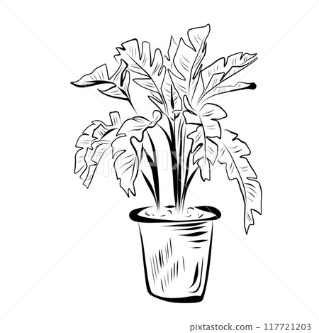 Line drawing. Line art plant in flowerpot. Vector 117721203