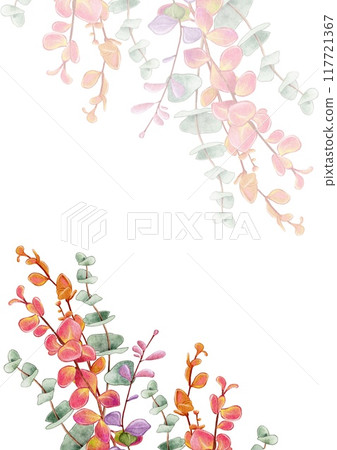 Card with eucalyptus and barberry branches 117721367