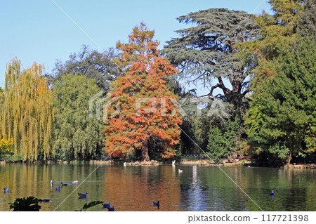 Borghese Lake Rome 117721398