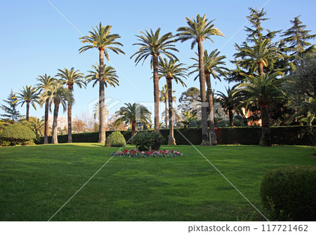 Mediterranean Palms Garden 117721462