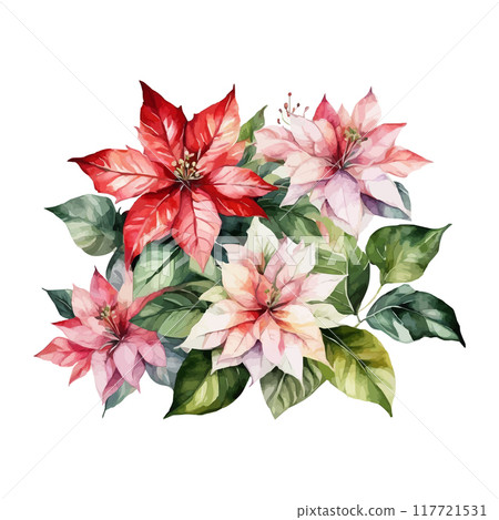 Christmas bouquets arranged from red poinsettia flowers. Happy holiday greenery. Watercolor style 117721531