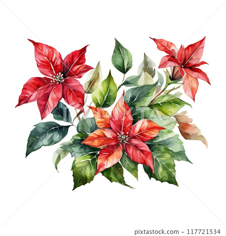 Christmas bouquets arranged from red poinsettia flowers. Happy holiday greenery. Watercolor style 117721534