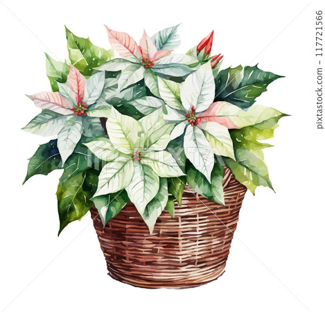 Christmas bouquets arranged from red poinsettia flowers. Happy holiday greenery. Watercolor style 117721566