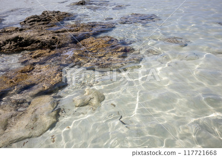 Shallow water with sandy bottom, Djerba, Tunisia Shallow water with sandy bottom, Djerba, Tunisia 117721668