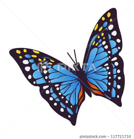 Blue Butterfly Decoration. Exotic Wildlife Decor. Front View Elegant Butterfly Wing Illustration. Closeup Black Butterfly Design Element. Modern Icon for Home Decor. Vector illustration Blue Butterfly Decoration. Exotic Wildlife Decor. Front View Elegant Butterfly Wing Illustration. Closeup Black Butterfly Design Element. Modern Icon for Home Decor. Vector illustration 117721710