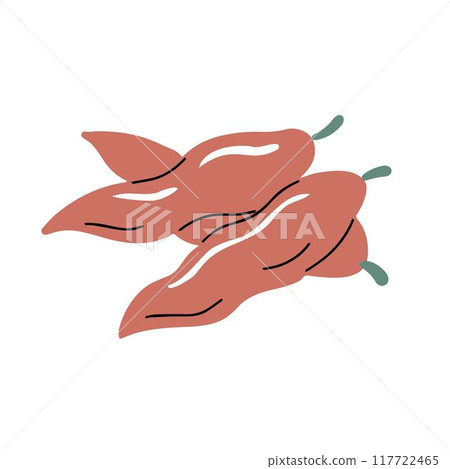 Hot pepper on a white background 117722465