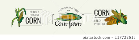 Corn logo. Farm field icon. Vintage grain seed for popcorn. Natural organic silhouette on fresh banner. Agriculture harvest. Maize ear. Cereal nutrition. Fresh product symbols vector set Corn logo. Farm field icon. Vintage grain seed for popcorn. Natural organic silhouette on fresh banner. Agriculture harvest. Maize ear. Cereal nutrition. Fresh product symbols vector set 117722615