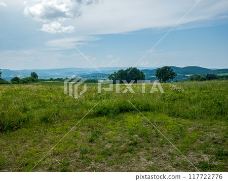 Field Landscape 117722776